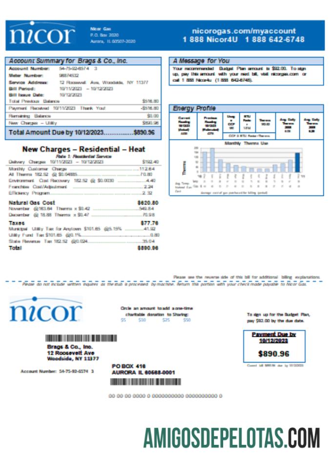 SCR da conta de serviços públicos da Illinois Nicor ​​Gas amostra